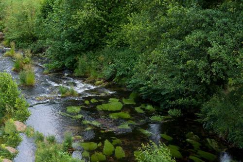 Hotel Enz Residenz