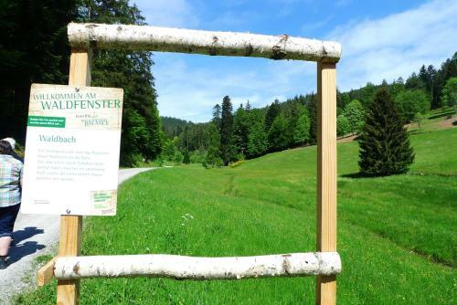 Hotel Hirsch Mit Caf� Kl�sterle
