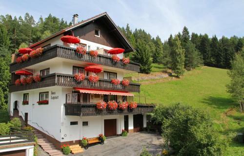 Hostal Pension Rehblick