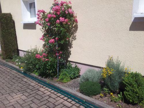 Hostal Pension Haus Hubertus
