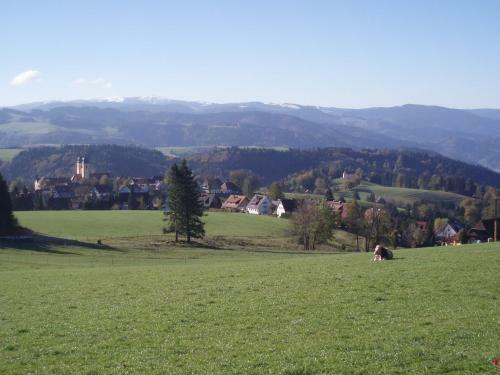 Hostal Pension Haus Hubertus