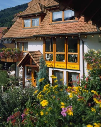 Hostal Hotel-pension Caf� Schacher