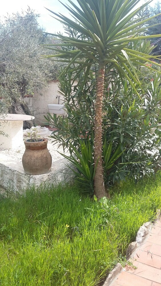 Hotel Villa Angela