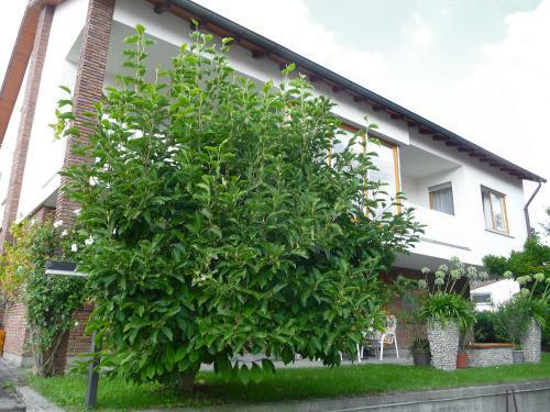 Apartment Ostrach