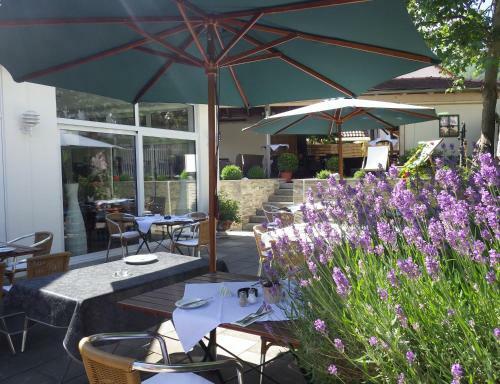 Hotel-restaurant & Metzgerei R��le