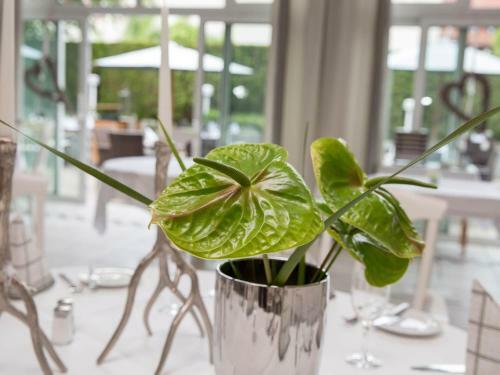 Hotel-restaurant & Metzgerei R��le
