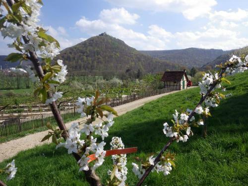 Hotel-restaurant & Metzgerei R��le