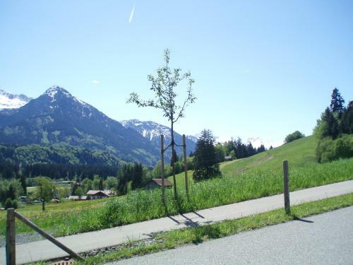 Hotel Alpenblick