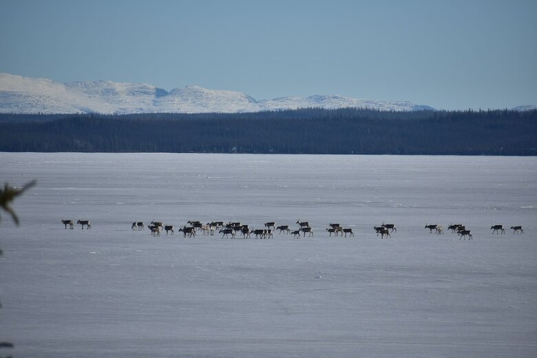 Posada Point Lodge Alaska