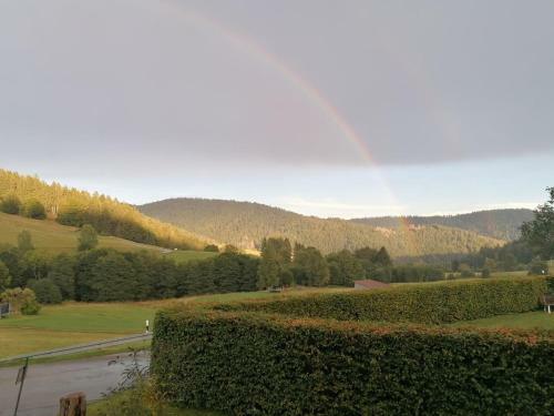 Hostal Schwarzwaldhaus Kathi