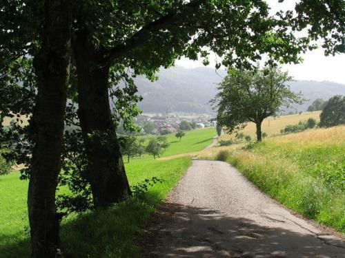 Hotel-restaurant Adler