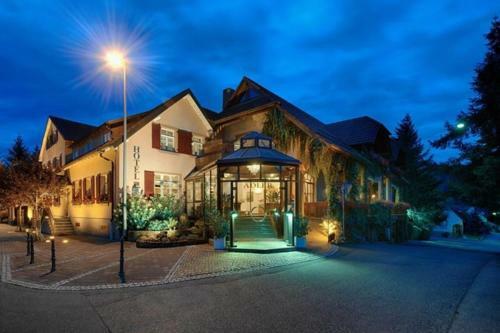 Hotel-restaurant Adler