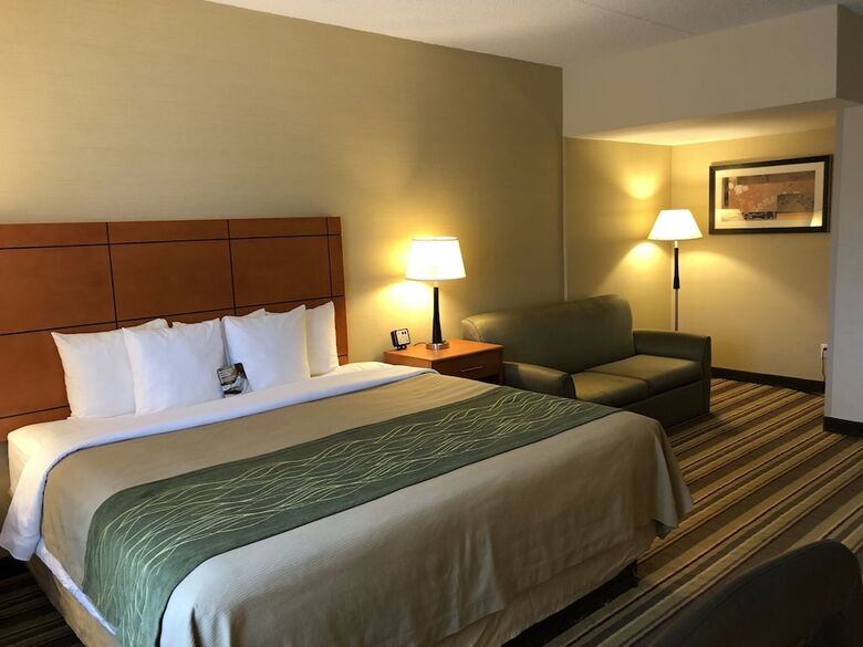 Hotel Comfort Inn Metro Airport