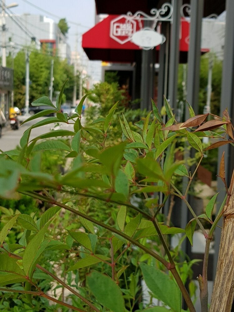 Hostal Gwangju Guest House 145 - Hostel