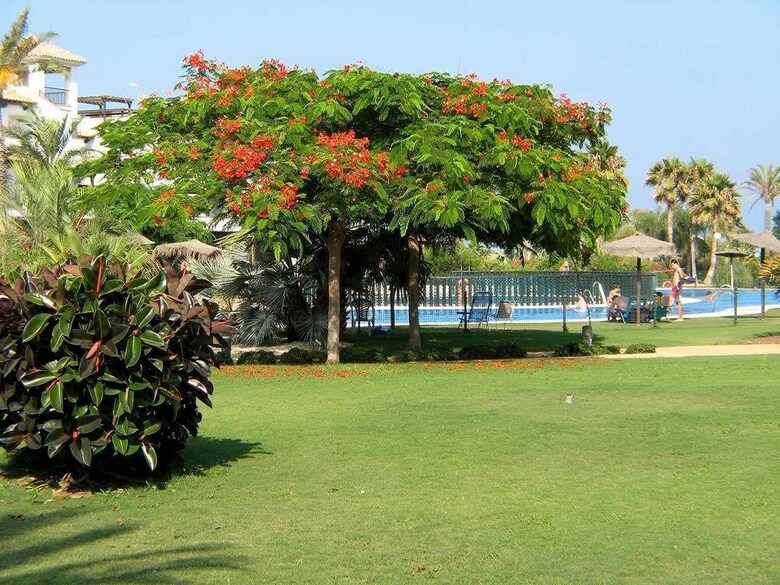 Apartamentos Venavera H21a - 2 Dorm/1ba�o A Pie De Playa