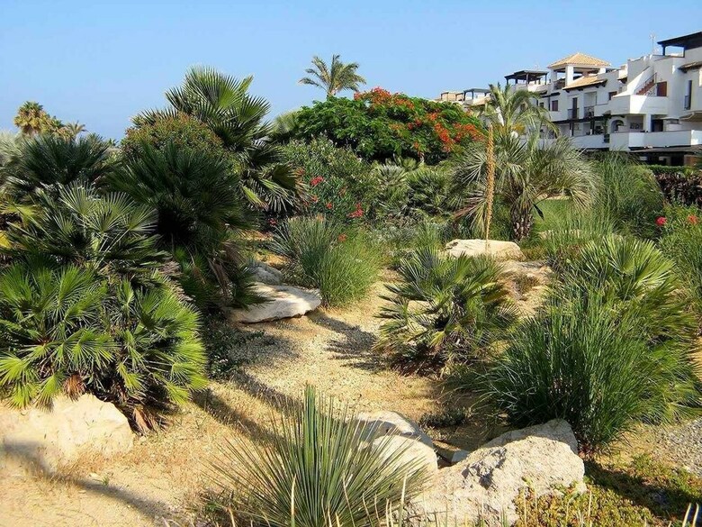Apartamentos Venavera H21a - 2 Dorm/1ba�o A Pie De Playa