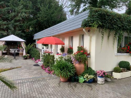 Apartamento Schlossblick