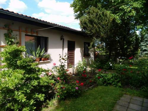 Apartamento Ferienwohnung Markert