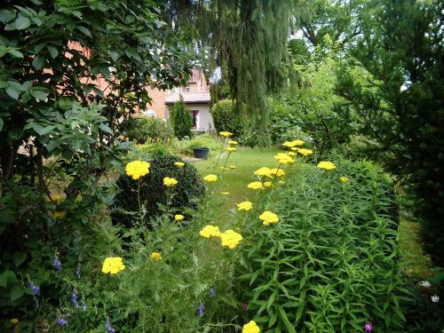 Apartamento Ferienwohnung Markert