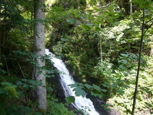 Fichtenhof Am Wasserfall