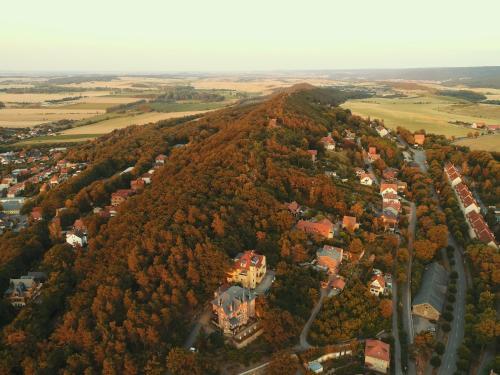 Hotel Viktoria Luise