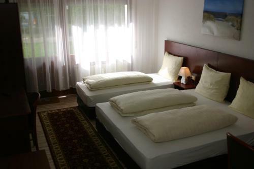 Apartment Traube