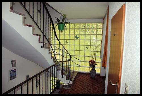 B&B Glatt