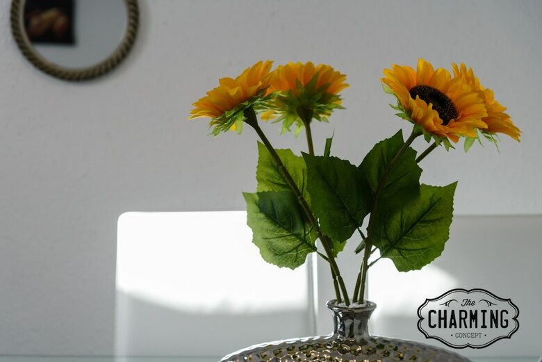 Apartamentos Charming Argensola
