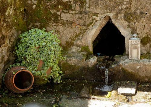 Agroturismo Jardines Pazo A F�brica