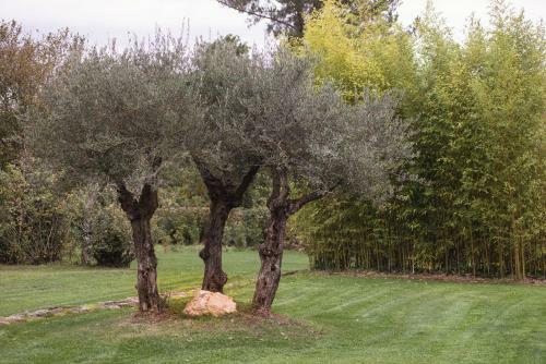 Agroturismo Jardines Pazo A F�brica