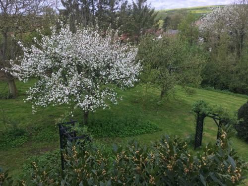 Bed & Breakfast Le Clos Dessyag