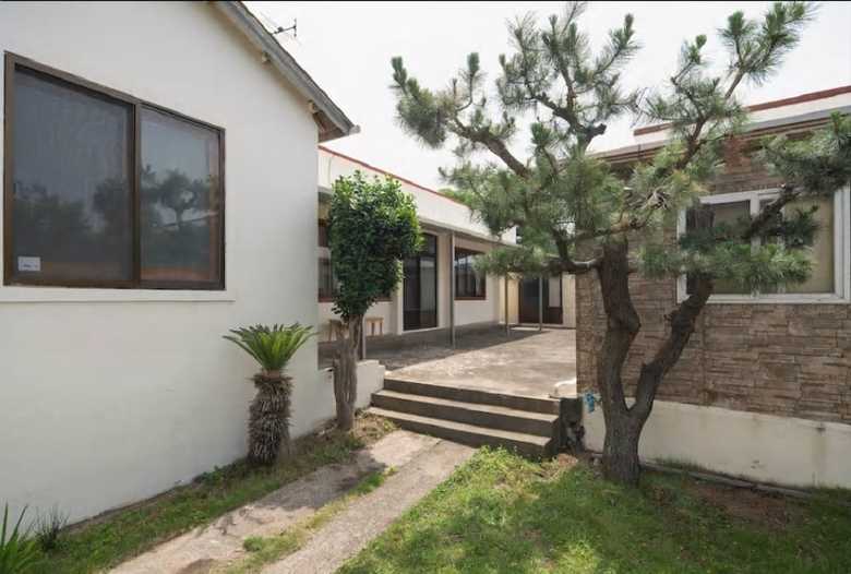 Domini's Local Style House