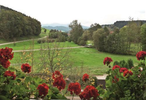 Hostal Landgasthof Adler Pelzm�hle