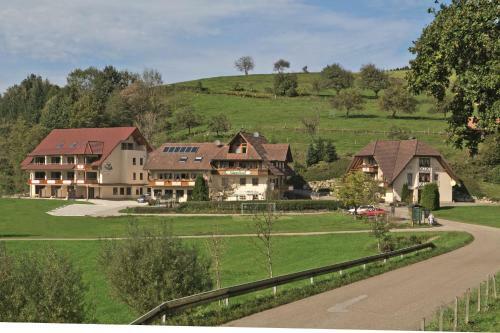 Hostal Landgasthof Adler Pelzm�hle