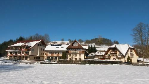 Hostal Landgasthof Adler Pelzm�hle