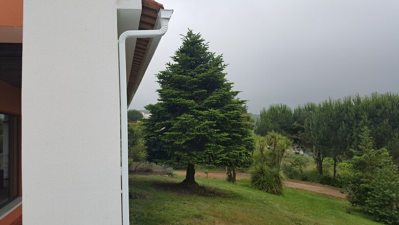 Bed & Breakfast Sintra Rural Home - Cerrado Da Serra