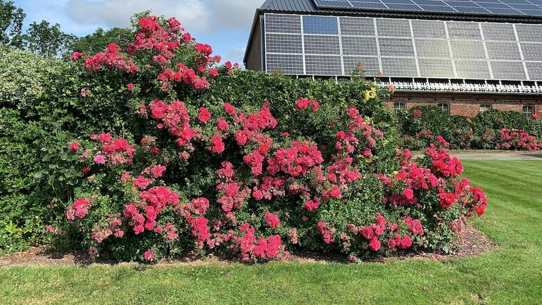 Apartment Garten - Near The Airport