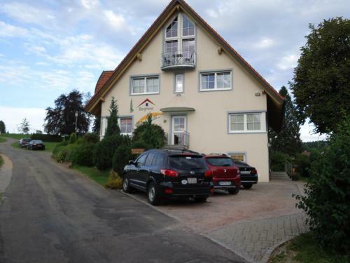 Berghotel Schiller