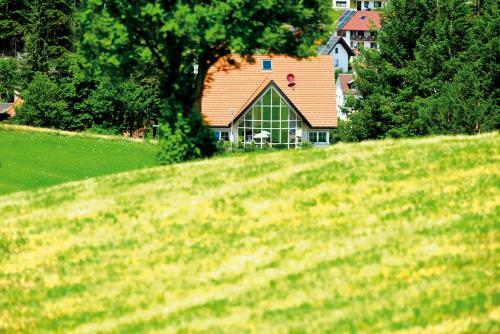 Berghotel Schiller