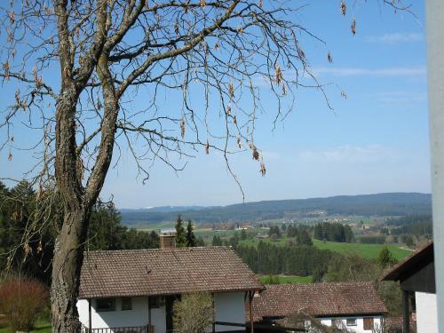 Hochwald