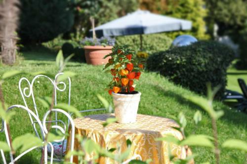 Apartamento Strandhaus Ott