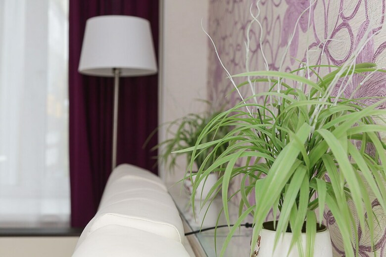 Flowers Hotel