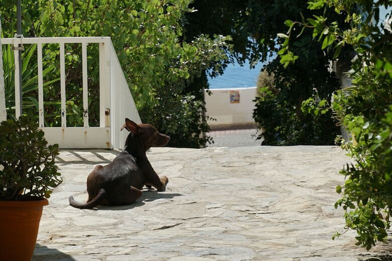 Hotel Galini Mare