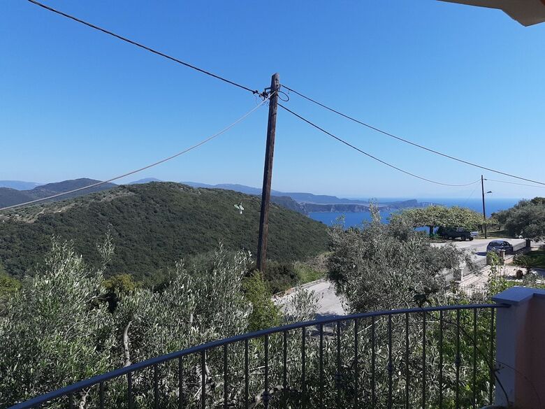 Olive Tree Apartment