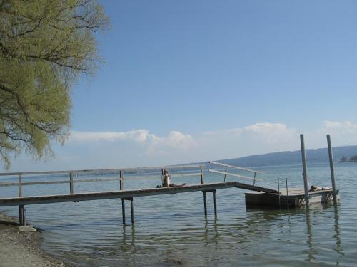 Hostal Pension Nfh Bodensee