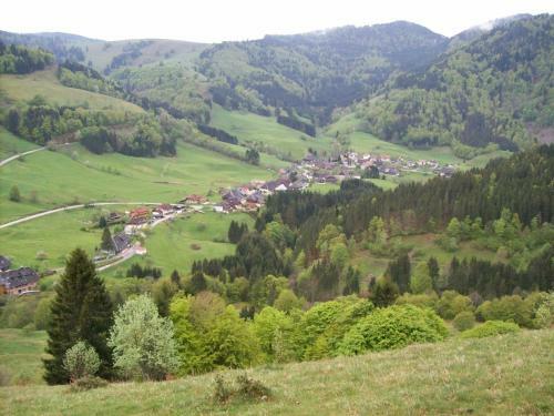 Hostal Berggasthaus Pr�ger B�den