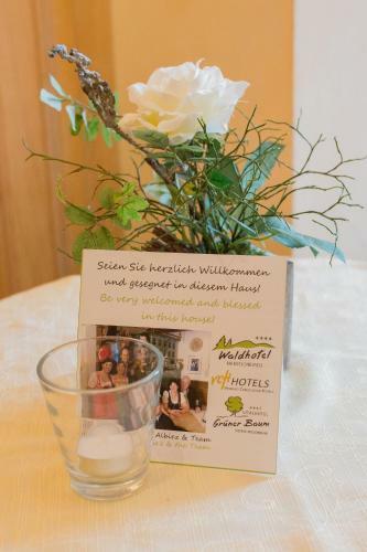 Hostal Vital Hotel Gr�ner Baum