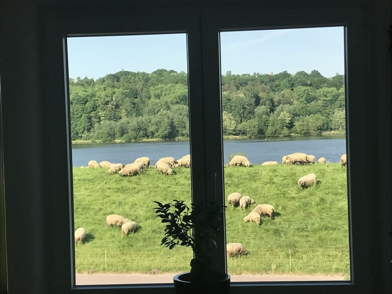 Hotel Elbe Monteurstreff 164