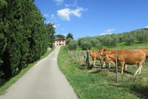 Agroturismo Trebbiolo