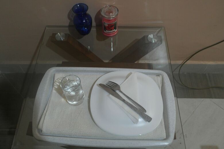 Hotel Palm Nest - Near Jkia